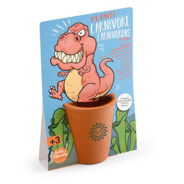 Radis et Capucine - Kit de jardinage enfant - Plante Carnivore - T-Rex - MEDIA_3D